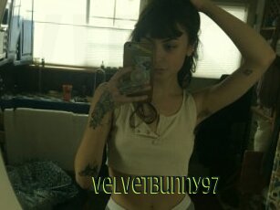 Velvetbunny97