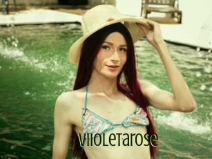 Viioletarose