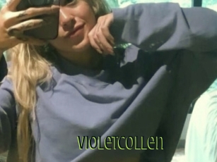 Violetcollen