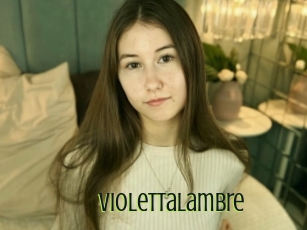 Violettalambre