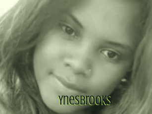 Ynesbrooks